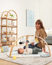 Load image into Gallery viewer, Skip Hop Discoverosity Deluxe Activity Gym