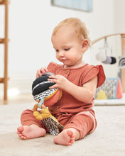 Load image into Gallery viewer, Skip Hop Discoverosity 3 in 1 Classic Stroller Toy