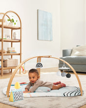 Load image into Gallery viewer, Skip Hop Discoverosity Deluxe Activity Gym

